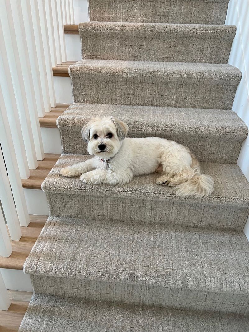 Image dipicting Carpet & Stair Runners 