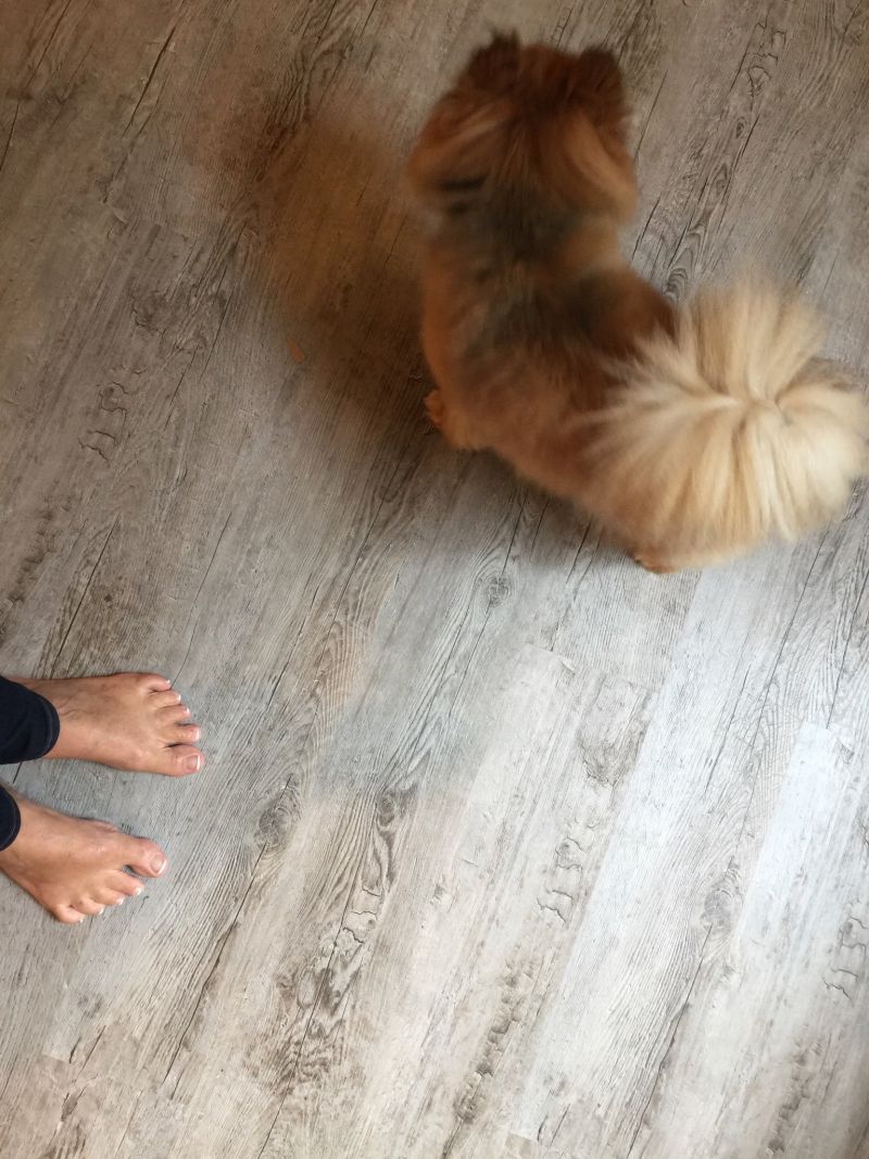 Image dipicting Laminate