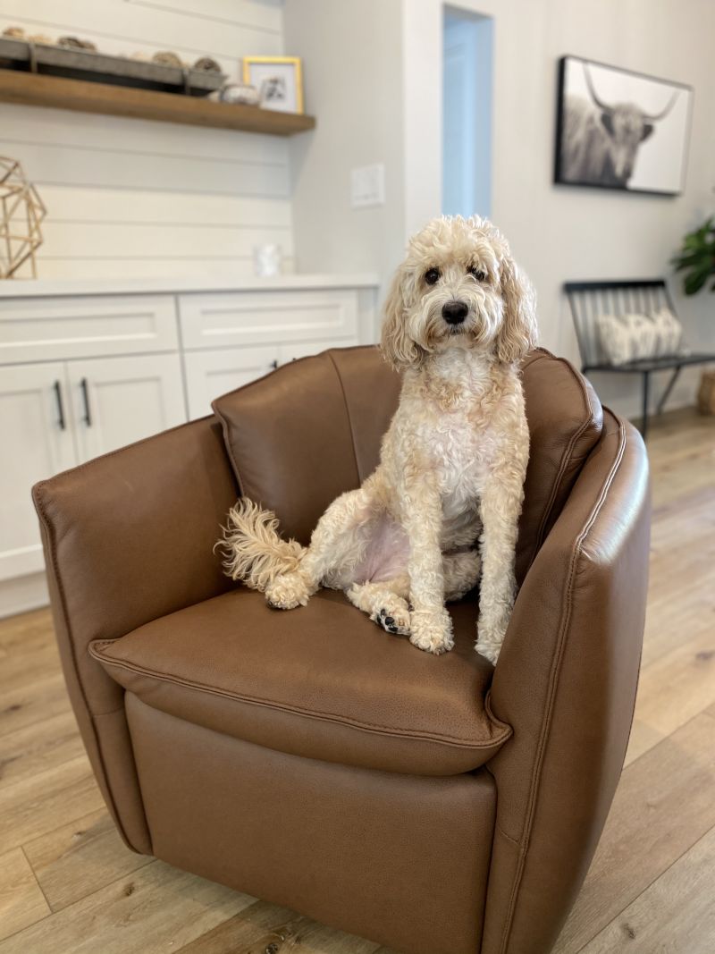 Image dipicting Luxury Vinyl